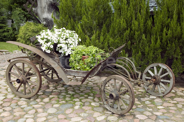öreg fából készült vagon virágok természet virág Stock fotó © carenas1