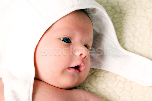 Foto stock: Bebê · menino · branco · seis · peludo · cobertor