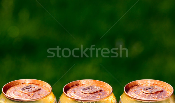 Metal beer can, unopened Stock photo © carenas1