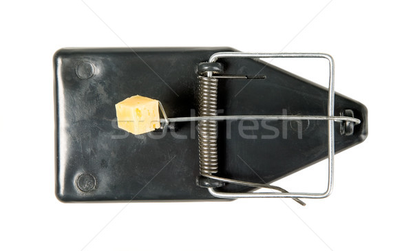 A mouse trap with cheese Stock photo © carenas1