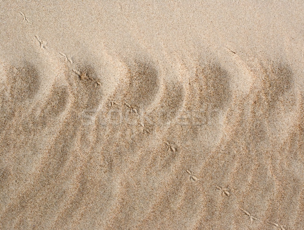 Sand Stock photo © carenas1