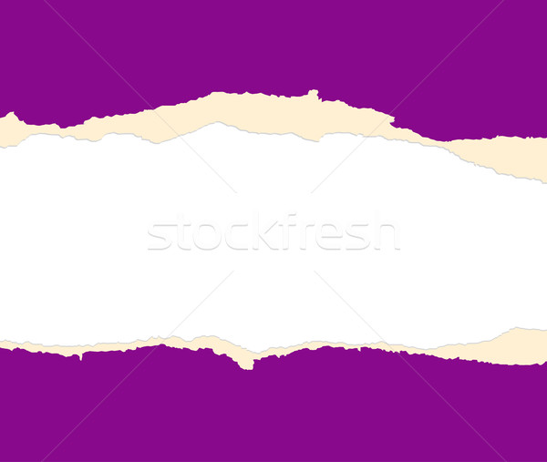 A violet sheet of paper is teared in two Stock photo © carenas1