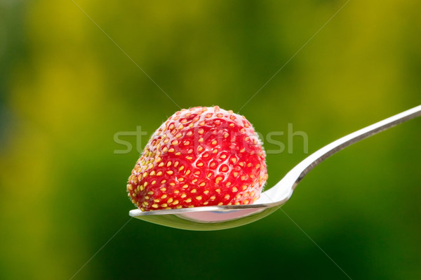 Rouge fraise vert nature alimentaire fruits [[stock_photo]] © carenas1
