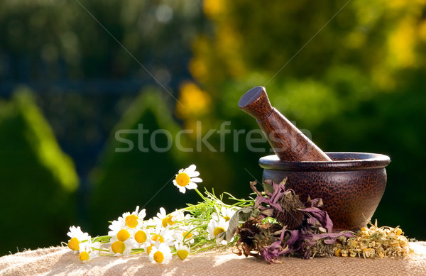 Wooden pestle with chamomiles Stock photo © carenas1