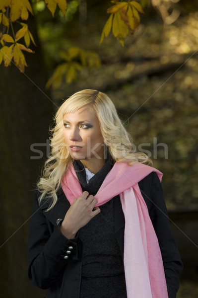 ősz nap park portré gyönyörű fiatal nő Stock fotó © carlodapino