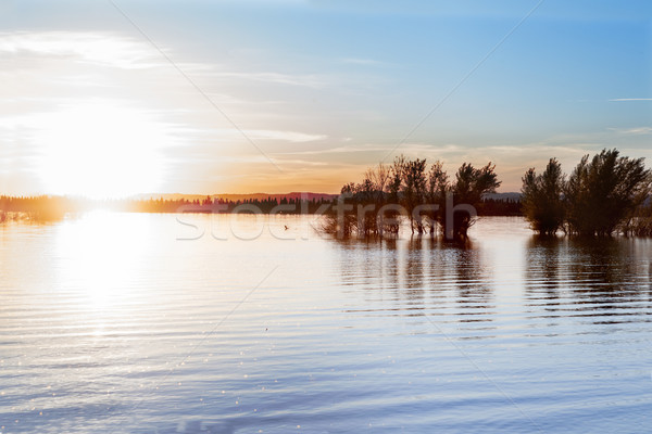 Lake and sunset Stock photo © carloscastilla