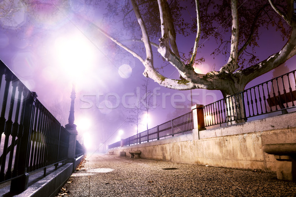 Night cityscape Stock photo © carloscastilla
