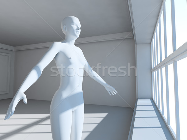 Insan 3D iç mimari 3d kadın Stok fotoğraf © carloscastilla