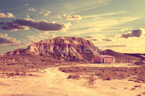 Lifestyle.Solitary life in the desert Stock photo © carloscastilla