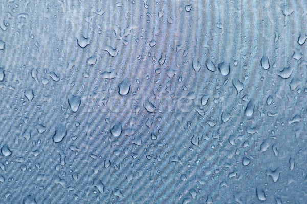 surface water drops Stock photo © carloscastilla