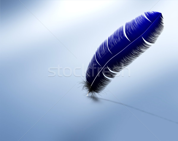 Pană albastru gol pasăre obiect concept Imagine de stoc © carloscastilla