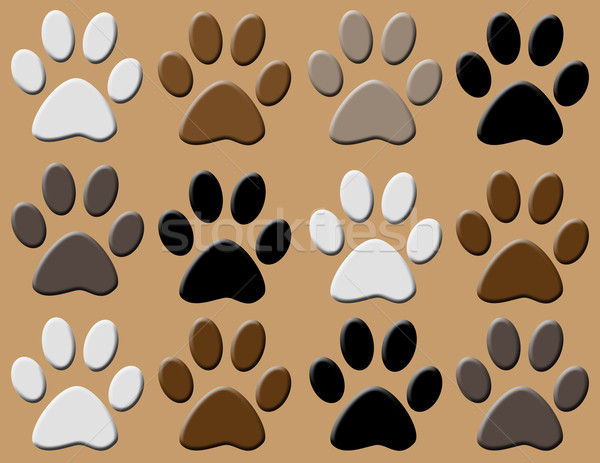 Animal paws fundal imprima culori vector Imagine de stoc © carmen2011