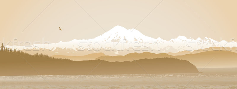 Mount Baker, Washington State panoramic in sepia Stock photo © CarpathianPrince
