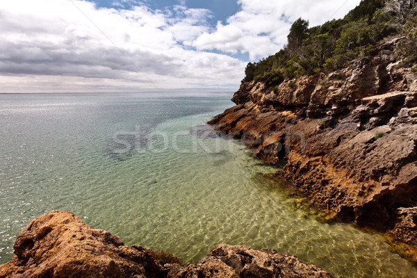 Mar acantilado parque naturaleza Foto stock © Carpeira10