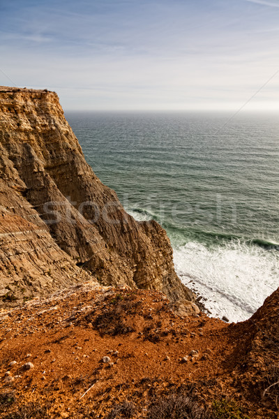 Portuguese Coastline. Stock photo © Carpeira10