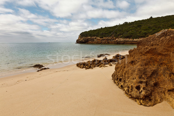 Playa parque paisaje cielo agua nubes Foto stock © Carpeira10