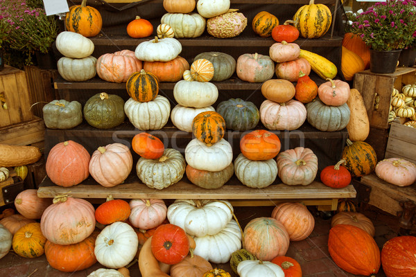 Pumpkins in a market Stock photo © Catuncia