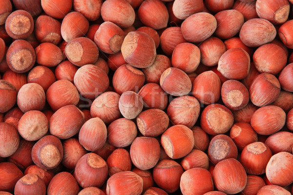 Hazelnuts closeup Stock photo © Catuncia