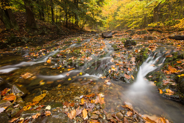 Beautiful waterfallcascade and fall foliage Stock photo © Catuncia
