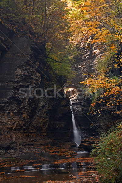 Beautiful waterfall  cascade and fall foliage Stock photo © Catuncia