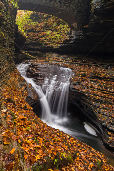 Beautiful waterfall  cascade and fall foliage Stock photo © Catuncia