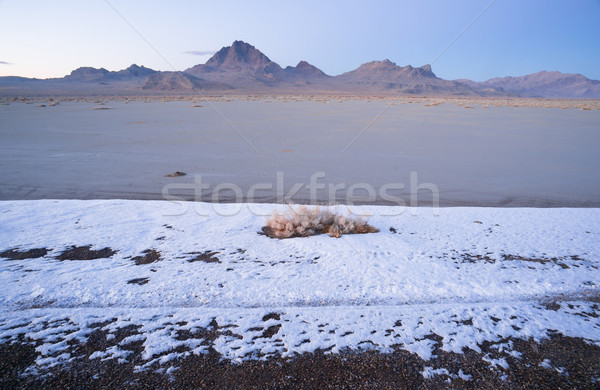 Fresh Snow Bonneville Salt Flats Utah Silver Island Mountains Stock photo © cboswell