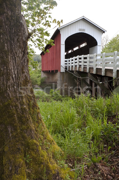 Currin Covered Bridge Row River Valley Vintage Road Transportati Stock photo © cboswell
