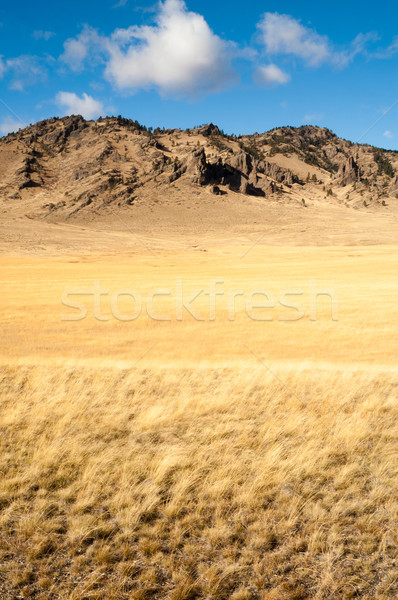 Cliffs Bluffs Valley Farmland Pacific Northwest Territory Stock photo © cboswell
