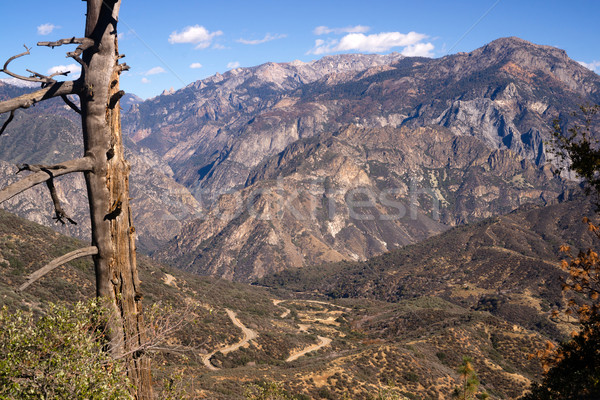 King's Canyon California Sierra Nevada Range Outdoors Stock photo © cboswell