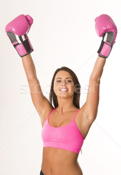 Boxer in Pink Stock photo © cboswell