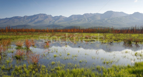 Stock photo: Scenic Marsh Water Panoramic Mountain Landscape Outback Alaska