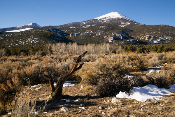 High Mountain Peak Great Basin Region Nevada Landscape Stock photo © cboswell