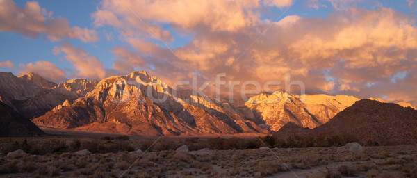 Golden Alpine Sunrise Alabama Hills Sierra Nevada Range Californ Stock photo © cboswell