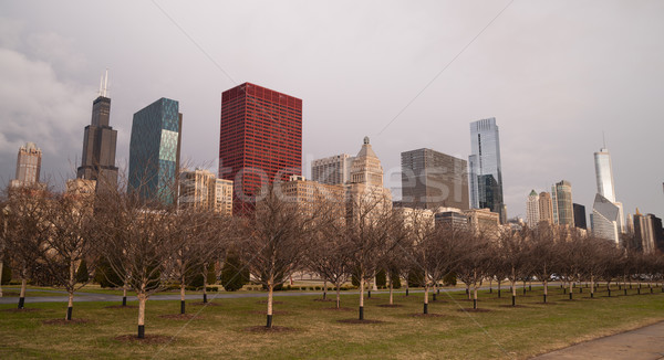 Storm Approaches Spring Time Scene Chicago Illinois City Skyline Stock photo © cboswell