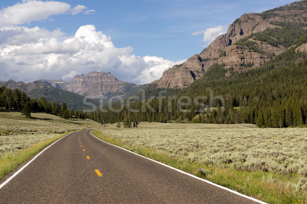 Foto d'archivio: Due · corsia · strada · transporti · parco · Wyoming
