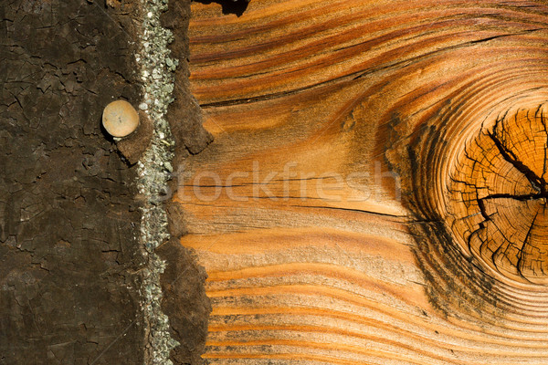 Knotty Pine Board Weathered Wood Asphalt Shingle Roofing Siding  Stock photo © cboswell