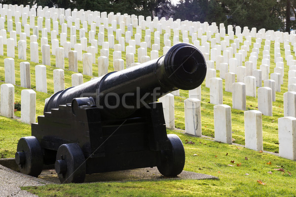 Large Military Cannon Stands Enlisted Men Cemetery Headstones Bu Stock photo © cboswell