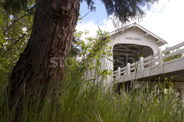Grave Creek Covered Bridge Sunny Valley Vintage Road Transportat Stock photo © cboswell