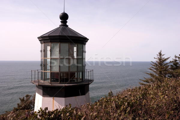 Cape Mears Lighthouse Pacific West Coast Oregon United States Stock photo © cboswell