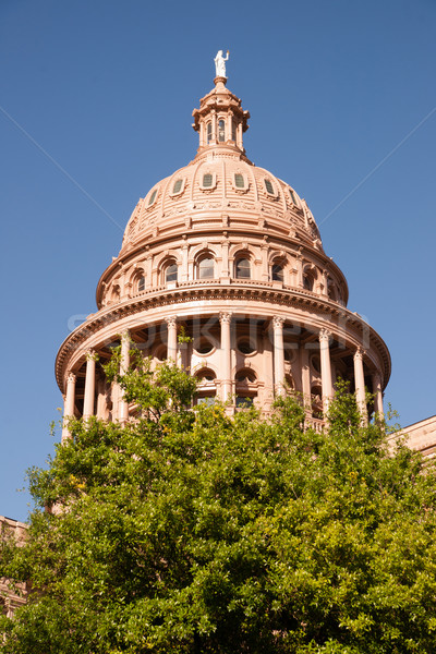 Bina austin Teksas hükümet mavi kararlar Stok fotoğraf © cboswell
