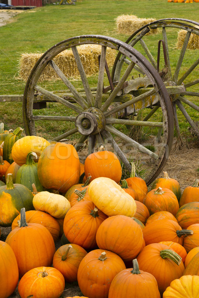 Farm Scene Old Wagon Vegetable Pile Autumn Pumpkins October Stock photo © cboswell