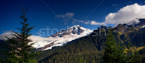 Horizontal Panoramic Mt Baker Heliotrope Ridge Cascade Range Stock photo © cboswell