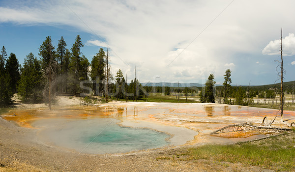 Hot Mineral Springs Bubble and Boil Yellowstone National Park Stock photo © cboswell
