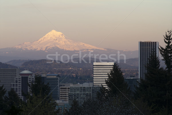 Architecture Buildings Downtown Portland Cascade Range Mount Hoo Stock photo © cboswell