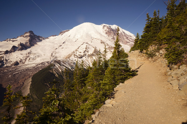 Trail High on Burroughs Mountain Cascade Range Mt. Rainier Backg Stock photo © cboswell