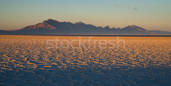 Bonneville Salt Flats Tooele County Utah Pleistocene Lake Sunset Stock photo © cboswell