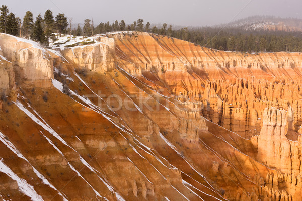 Fresh Snow Falling Bryce Canyon Rock Formations Utah USA Stock photo © cboswell