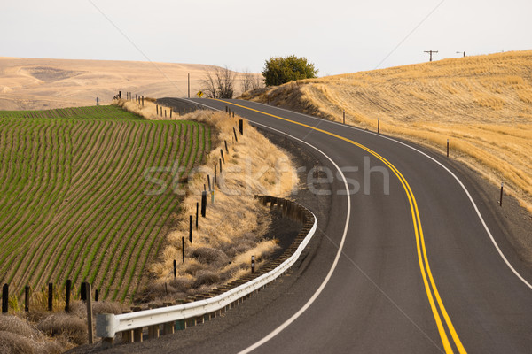 Open Road Two Lane Highway Oregon State USA Stock photo © cboswell