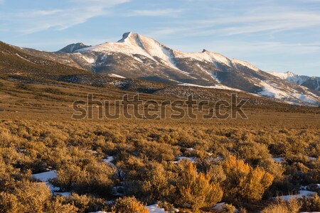 High Mountain Peak Great Basin Region Nevada Landscape Stock photo © cboswell