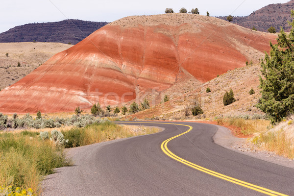 Malowany wzgórza skamieniałość Oregon USA na północ Zdjęcia stock © cboswell